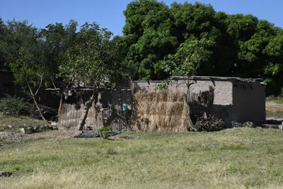 DSC_2737 (Large).JPG